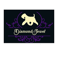 Diamond Jewel