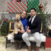 WheatnRidge Wheaten 6