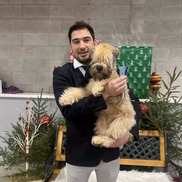 WheatnRidge Wheaten 9